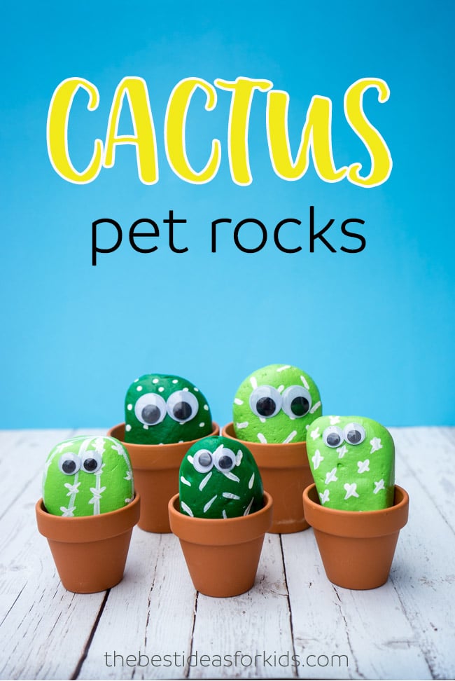 Pet Cactus Rocks - The Best Ideas for Kids